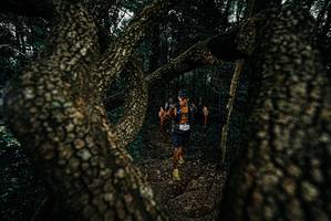 BIB: 
                            <button type="button" onclick="openModal(25693416)" class="btn btn-primary btn-sm float-right btn-popup" data-toggle="modal" data-target=".modal-high-quality">
                        <i class="fas fa-shopping-cart"></i> Add to Cart
                    </button>
                                            <button type="button" onclick="isThisMe(25693416, true)" class="btn btn-success btn-sm float-right btn-popup btn-isme hidden" data-toggle="tooltip" data-placement="bottom" title="นี่คือรูปของคุณใช่ไหม คลิกที่นี่เพื่อเอาเข้าอัลบั้ม">
                        <i class="fas fa-plus"></i> Add to album
                    </button>
                    <button type="button" onclick="isThisMe(25693416, false)" class="btn btn-warning btn-sm float-right btn-popup btn-isnotme hidden">
                        <i class="fas fa-ban"></i> Remove from album
                    </button>